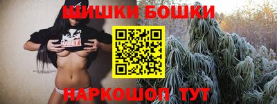 прущие крисы Майкоп